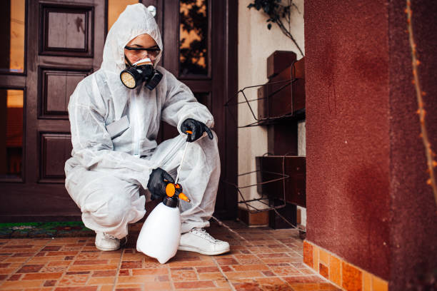 Reliable Wasp Removal contractor in Cedarville, AR by Show Me Pest Control